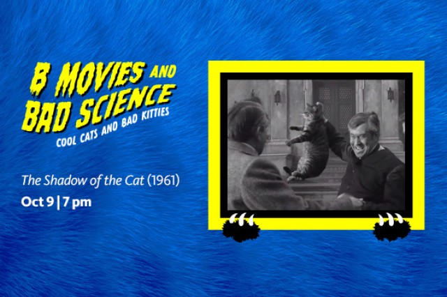 Yellow and black border around a black and white image of a man holding a cat up by the scruff of its neck, against a blue furry background