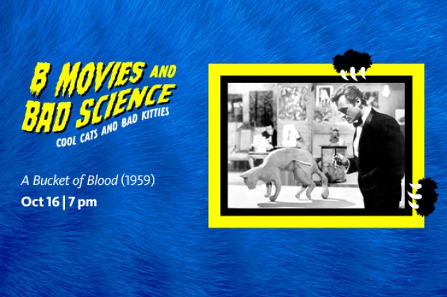 Yellow and black border around a black and white image of a man and a cat, against a blue furry background