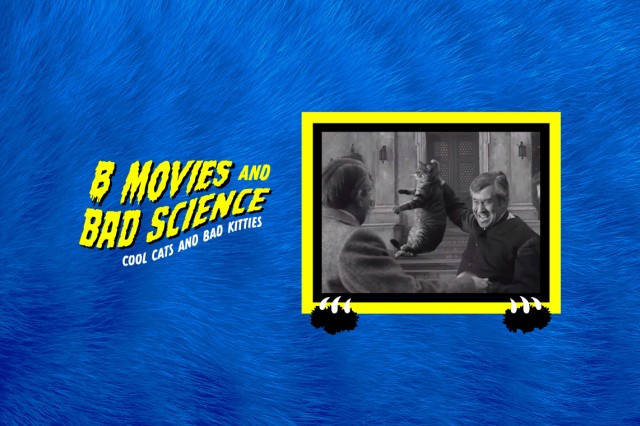 B Movies and Bad Science: Cool Cats and Bad Kitties title treatment and film still photo of two men and a frazzled cat