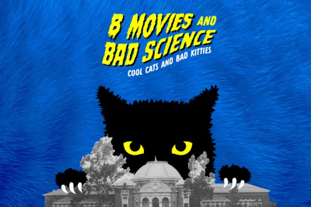 Black cat with yellow eyes peeking out from behind a gray brick building with a central dome, against a furry blue background