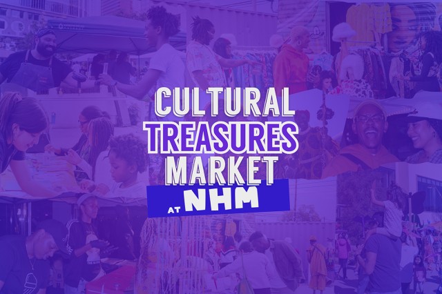 Cultural Treasures Market at NHM