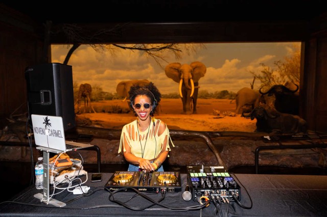 DJ Novena Carmel behind a table of equipment and an elephant diorama in the background