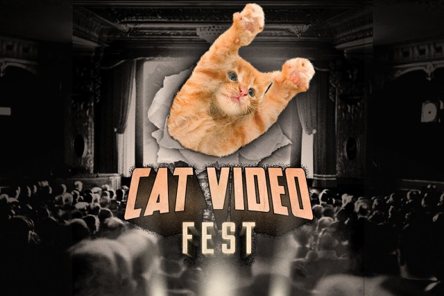 Orange and white cat tearing through a black and white movie screen with an audience in the foreground