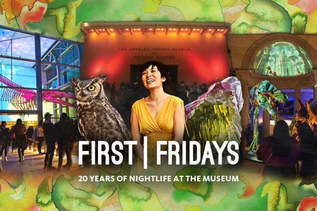 Performer in yellow dress between an owl and a green and purple gem, with a see-through building and visitors in the background