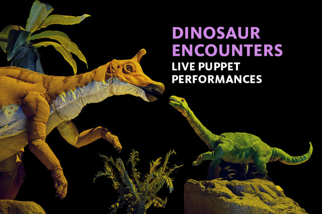 Orange and white horned dinosaur puppet facing a miniature green long-necked dinosaur puppet