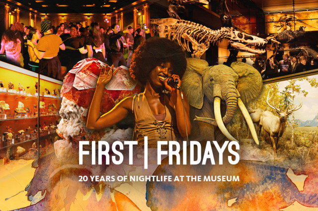 Collage of central woman with microphone and hand in the air, with an elephant, gems in a display case, and a crowd dancing around her