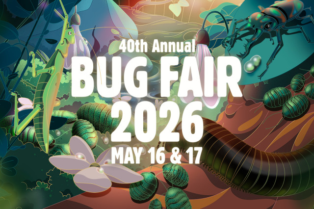 40th Annual Bug Fair 2026 May 16 & 17 in white letters over illustrated insects on leaves
