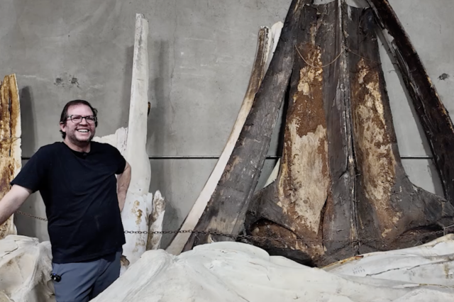 Jorge Velez-Juarbe standing in front on whale bones