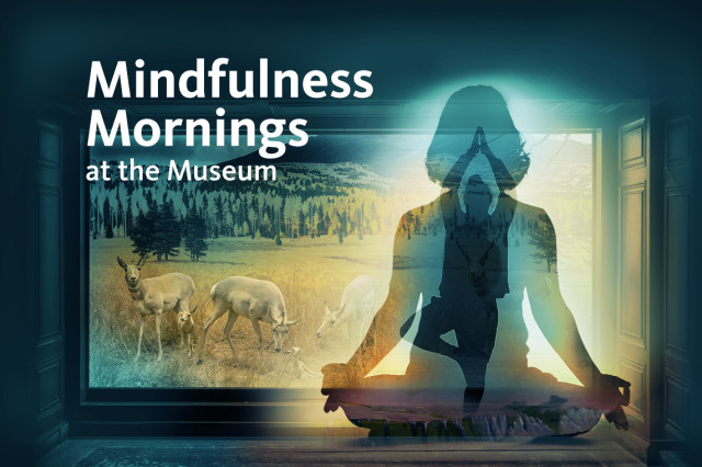 Silhouette of a figure in lotus and other yoga poses in front of a diorama of taxidermy