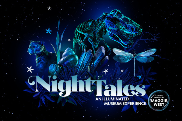 Blue green illuminated dinosaur skeleton, dragonfly, and big cat surrounded by a starry night sky