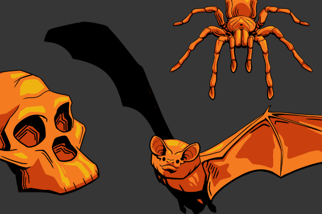 Orange skull, spider, and bat on a gray background