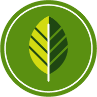 Icon of a leaf to represent nature