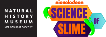 The secret success of slime  NSF - National Science Foundation