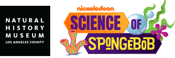 logos for NHM and Science of SpongeBob