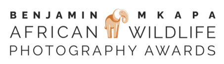 Benjamin Mkapa African Wildlife Photography Awards spelled out in capital letters stacked vertically in three rows with an illustration of a gold elephant in the middle of the logo