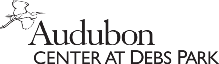 Audubon Center at Debs Park, Clipart of Great Egret soaring on top left corner