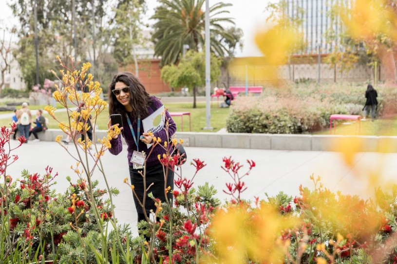 Even local governments got involved this year. L.A. County and City sustainability offices ran a BioBlitz in Downtown Los Angeles.