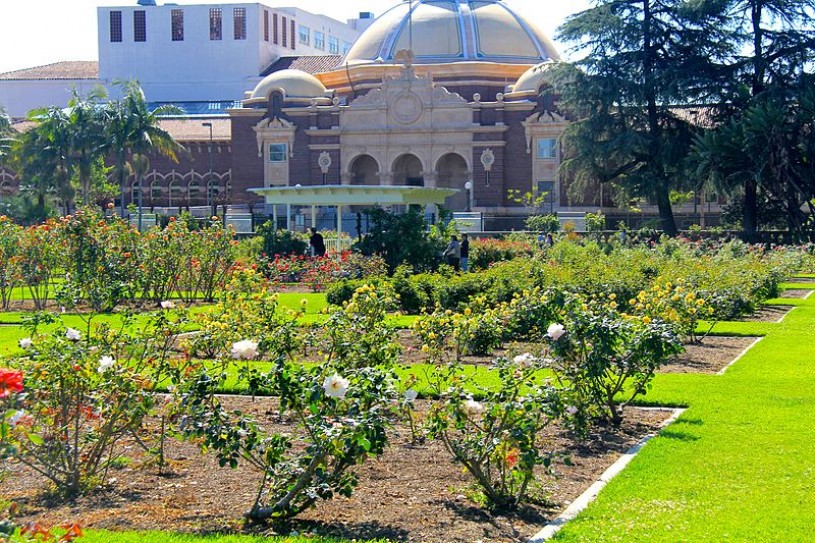 Exposition Park Rose Garden and NHM