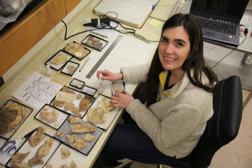 Seated Assistant Collections Manager labeling fossils.