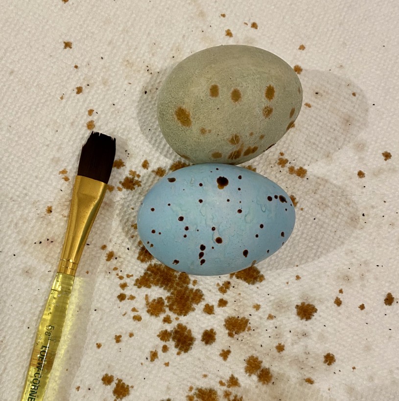 small brush used to splatter coffee on eggs 