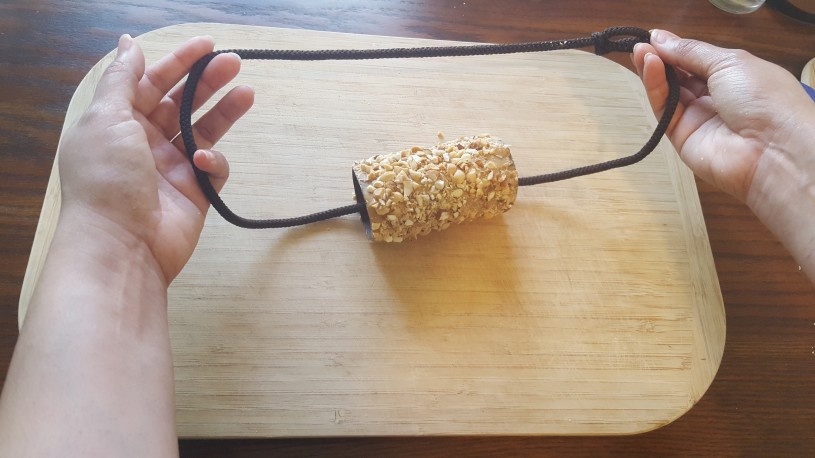 Image of bird feeder step 4 - place string through the roll and tie a knot