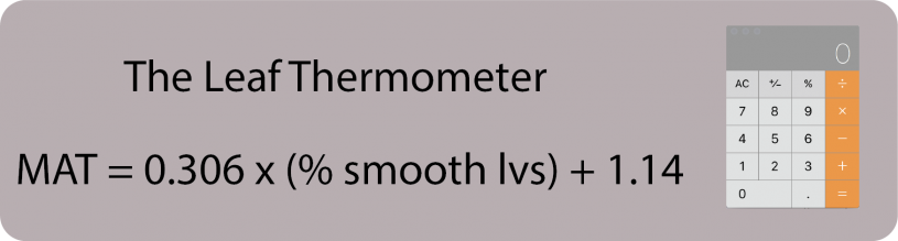 Image of Leaf Thermometer formula