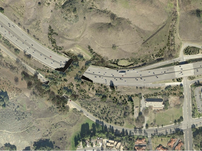 A vegetated wildlife crossing in the Resource Conservation District of the Santa Monica Mountains