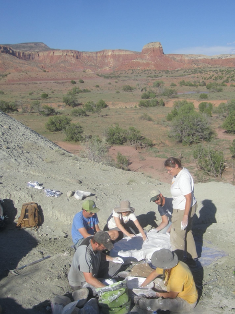 Field team working in the Late Triassic Hayden Quarry at Ghost Ranch, 2018. Image by Dr. Nathan Smith, Dinosaur Institute, NHMLAC