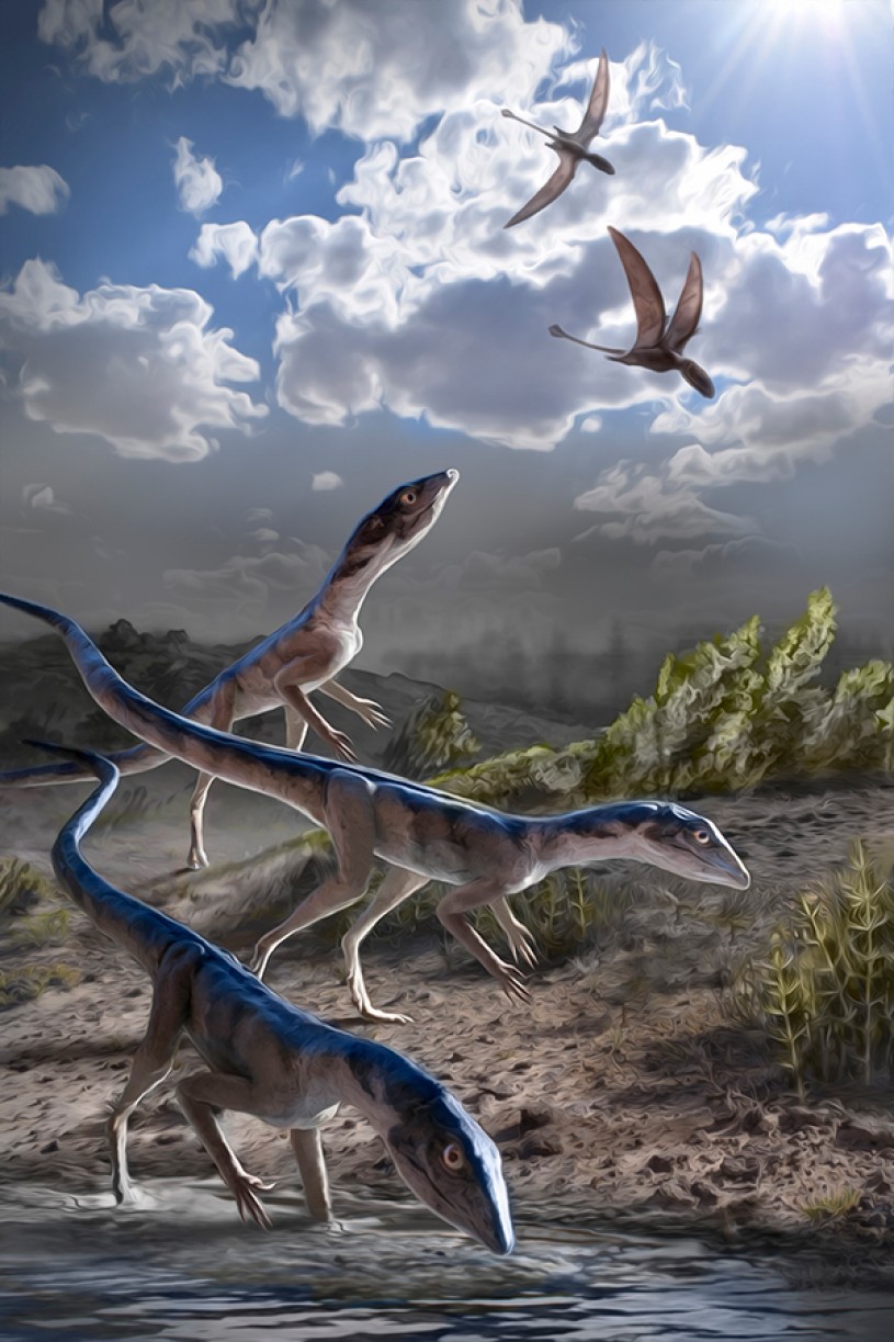 Let's learn about pterosaurs