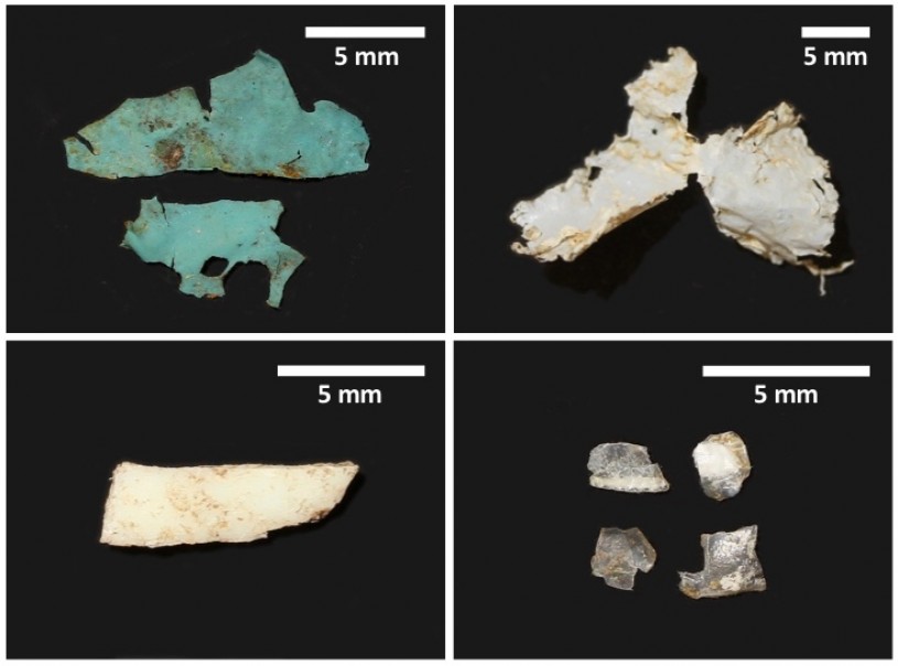 Plastics recovered from red-eared slider specimens