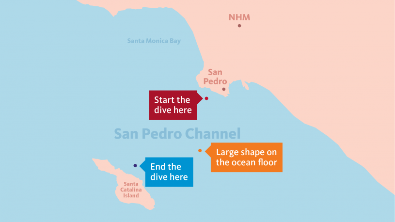 ocean experience submersible map 1