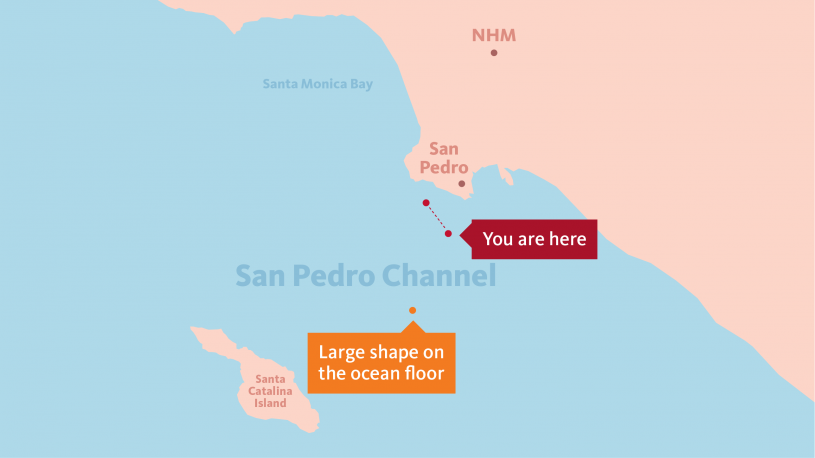 ocean experience submersible map 2