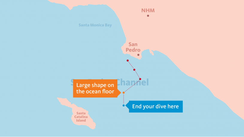 ocean experience submersible map 6