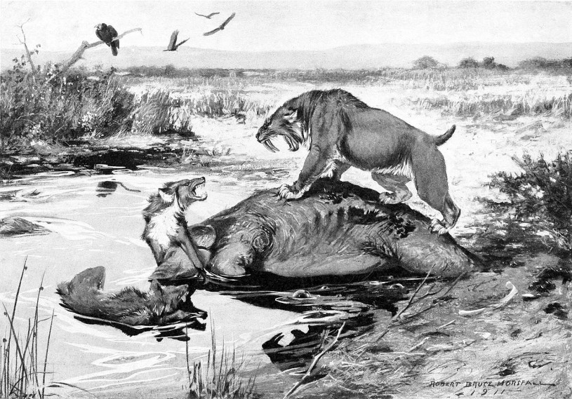 Smilodon californicus and Canis dirus fight over a Mammuthus columbi carcass in  La Brea Tar Pits