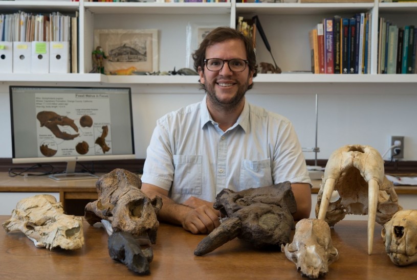 man sitting at desk with fossils 