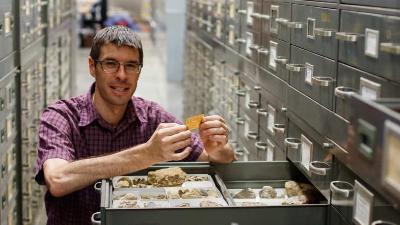 man at drawer with fossils 