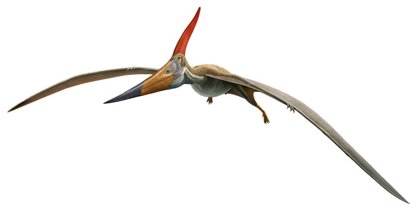 Quetzalcoatlus and Other Giant Pterosaurs were Short-Range Flyers