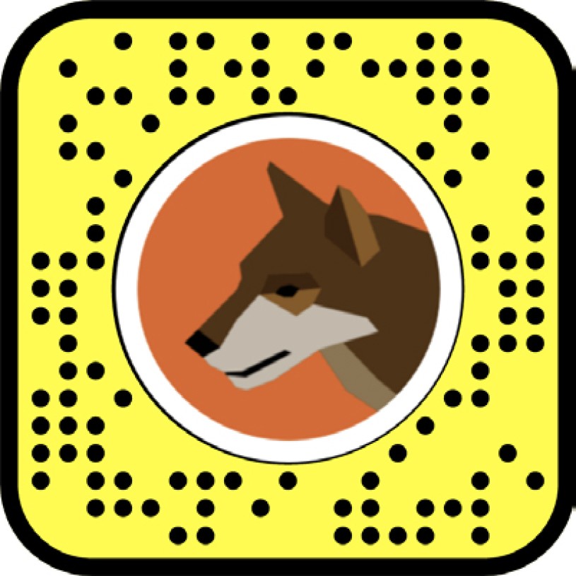 Dire wolf snapchat code