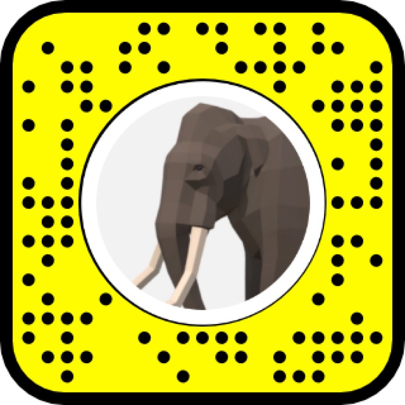 American mastodon snapchat code