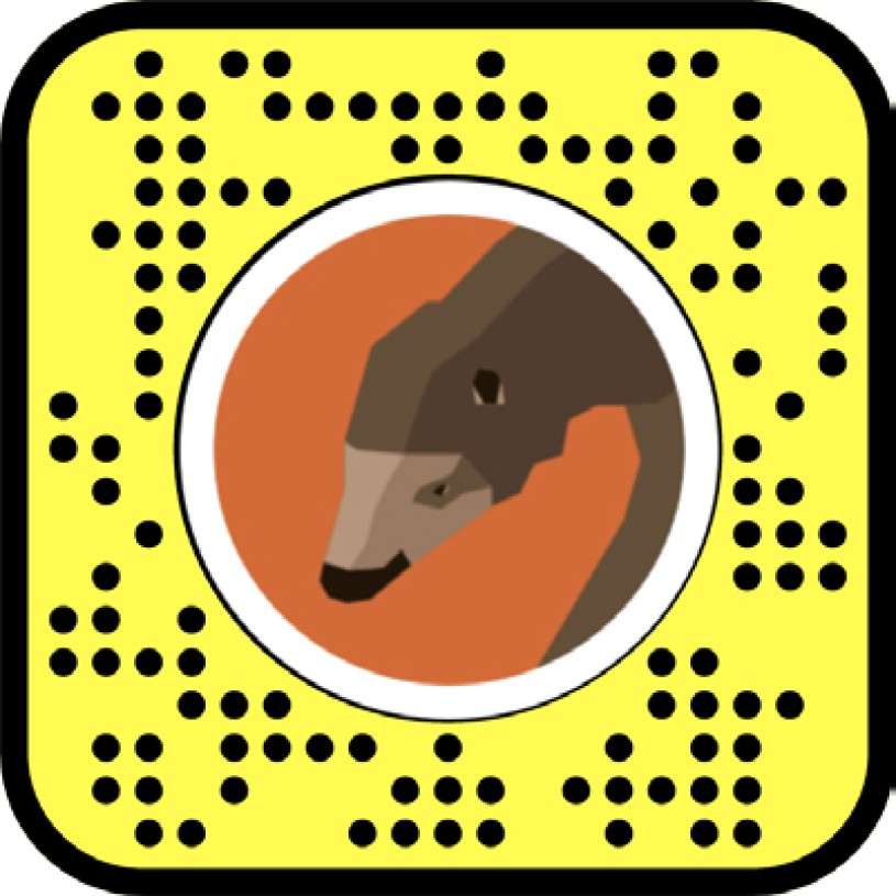 Shasta ground sloth snapchat code