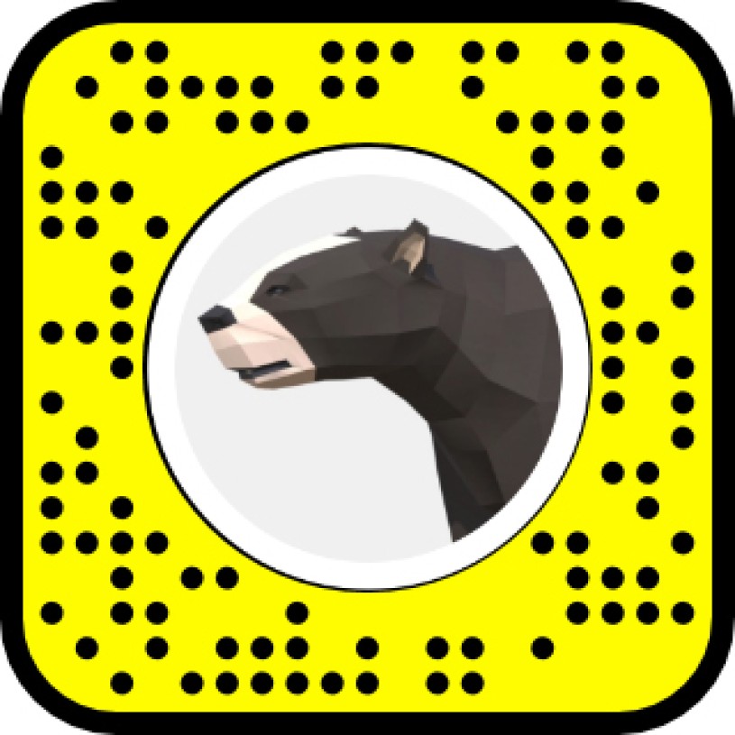 Short-faced bear snapchat code