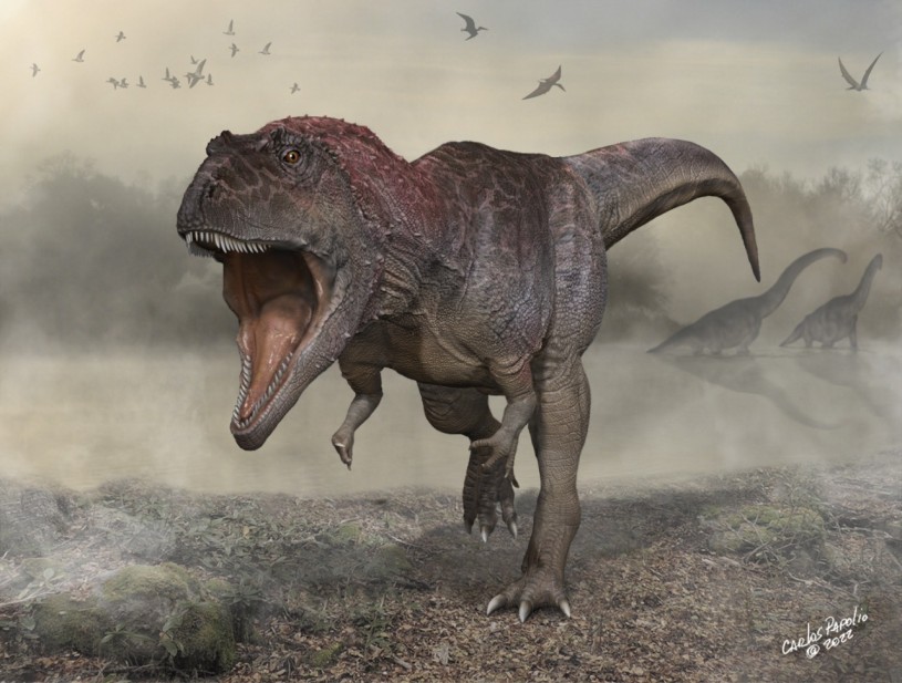 A reconstruction of Meraxes gigas by Carlos Papolio