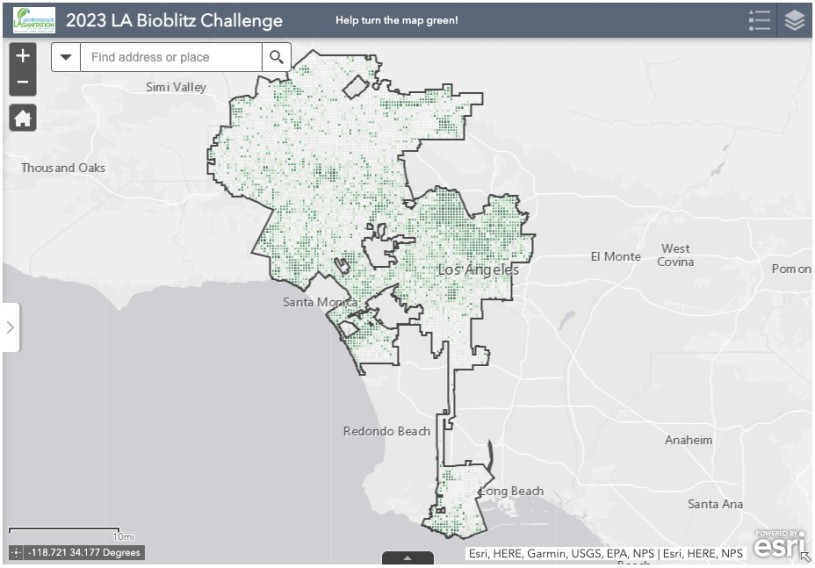 LA BioBlitz map of Los Angeles showing where observations have been made on iNaturalist