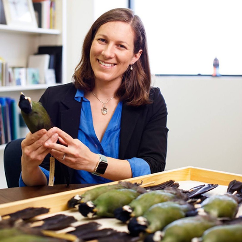 Head and shoulders portrait of Allison Shultz wearing a blue shirt and black blazer and holding a bird specimen