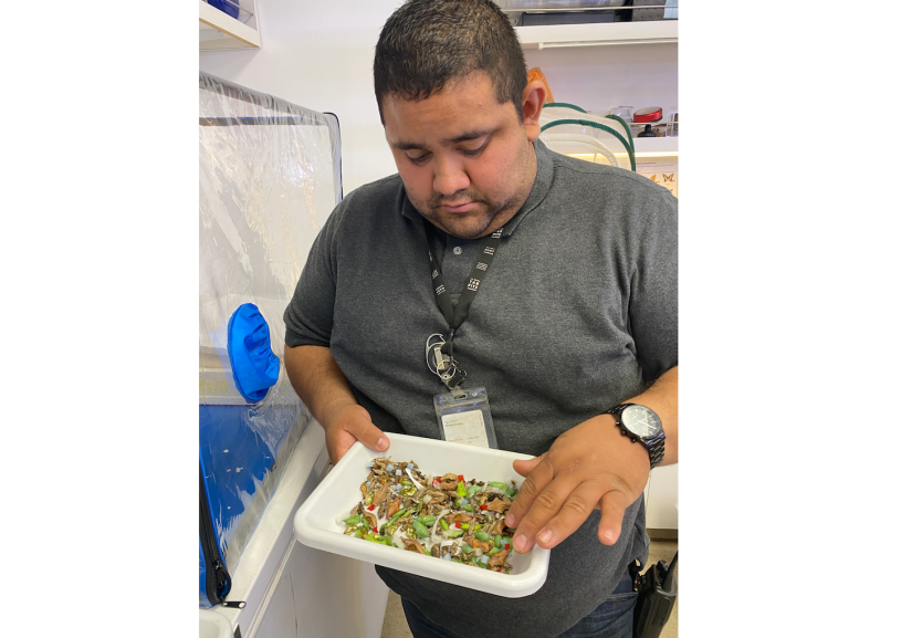  William Arriola Pavilion Care Specialist inspects newly arrived chrysalises