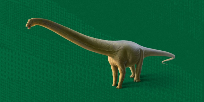 Long-necked green dinosaur on green background