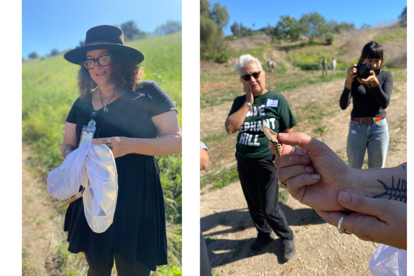 Lila Higgins introduces Elva Yañez to a hummingbird moth