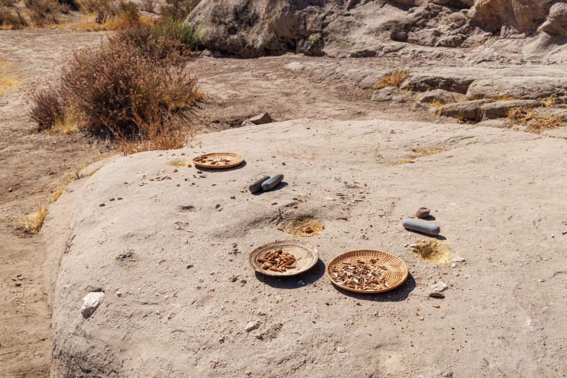 A bedrock mortar is shown with three pestles, three woven baskets and acorns scattered in two of the baskets. Ground acorns are depicted in the depressions found in the the bedrock mortar.