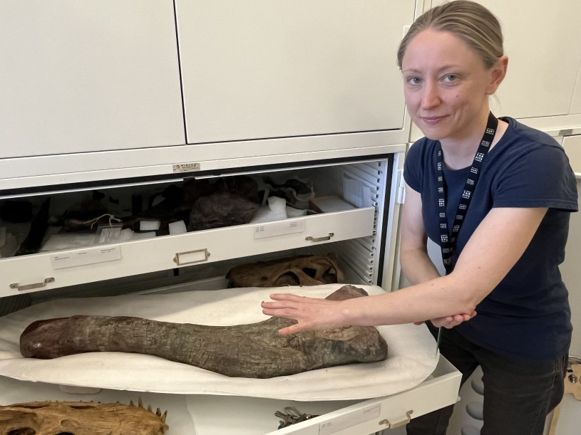 Stephanie Abramowicz in the collection room