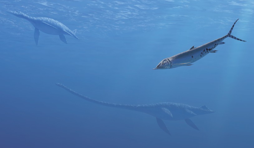 Prehistoric fish swimming in blue water 